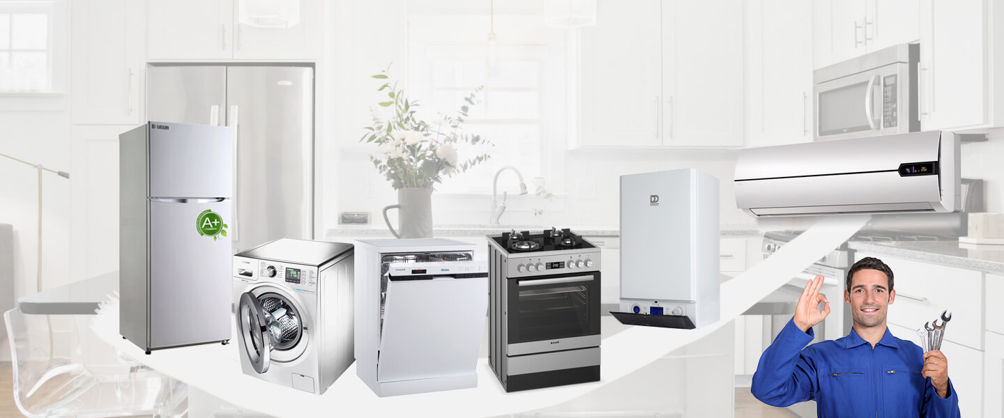 Pendik Philips Servisi